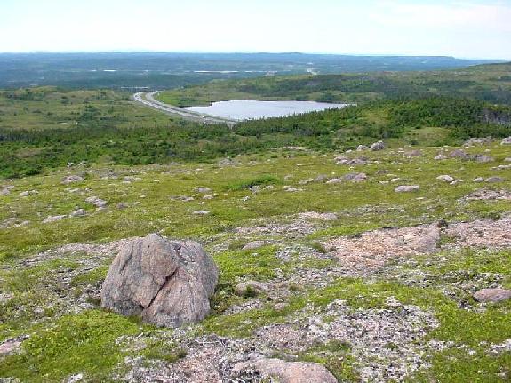 View to the West from the top of Hawke Hill