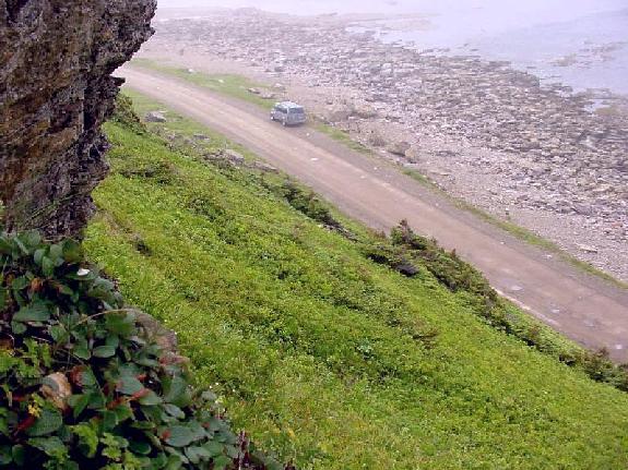 L'Anse-Amour Limestone Cliff and Scree Slope