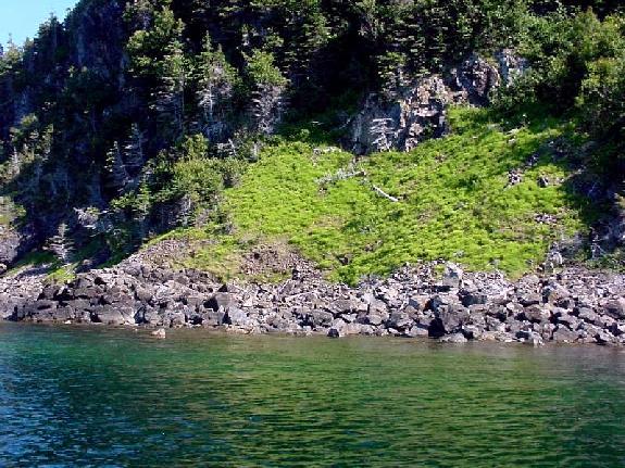 Sugarloaf Island, Notre Dame Bay, Scree Slope